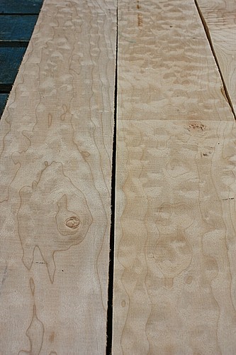 Quilted oregon big - big, maple