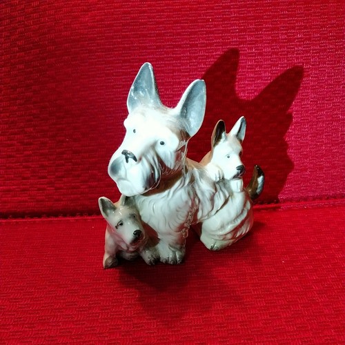 Terrier dog two puppies - terrier, &