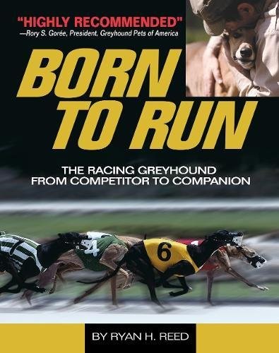 The born run - born, racing