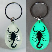 REAL BLACK SCORPION GLOW