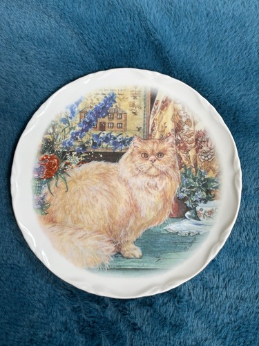 Decorative wall plate cat - wall,