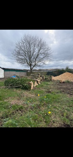 Free logs wood chippings - free, wood,