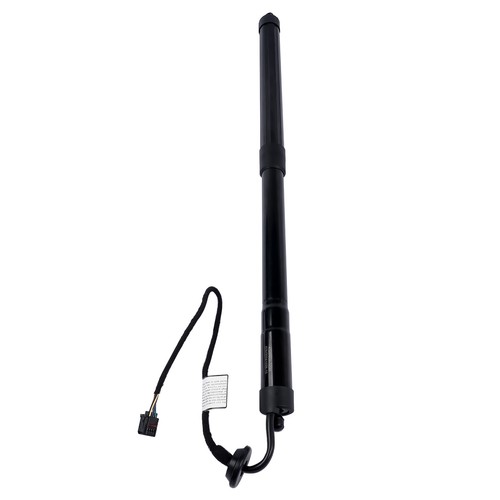 Rear power tailgate gas - rear, strut