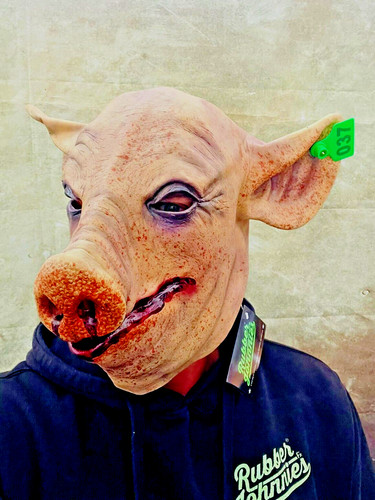 Adult halloween pig mask - pig,