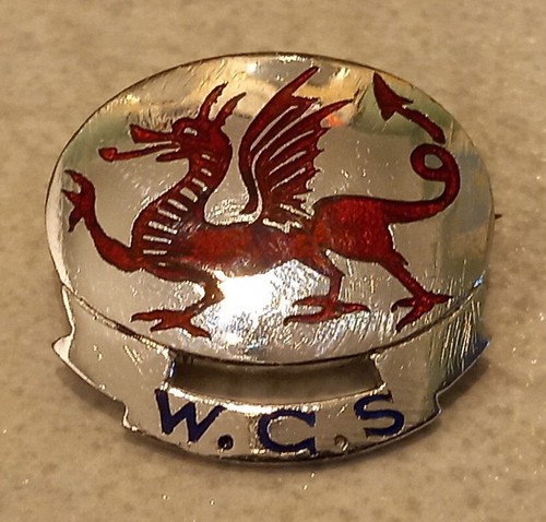 Good vintage wales golf - vintage,