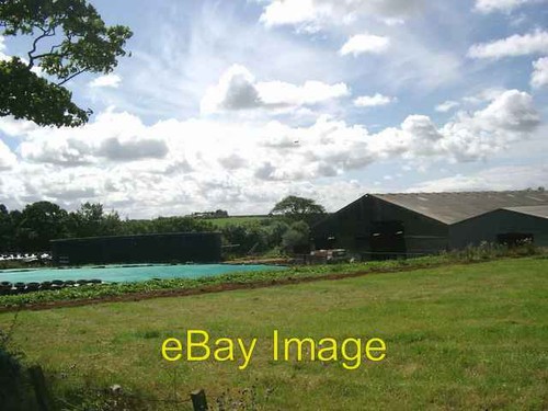 Photo 6x4 silage - photo, at