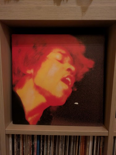 The jimi hendrix - jimi,