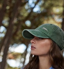 Greyhound, lurcher, sighthound