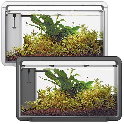Superfish home aquarium with - superfish,
