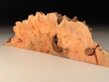Spalted Burr Elm Resin Live