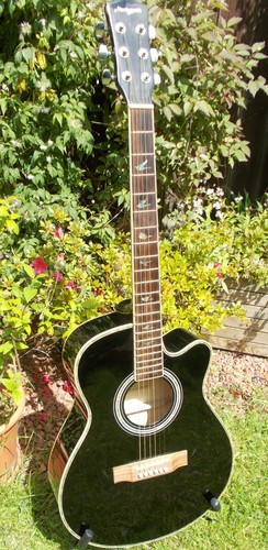 Electro acoustic guitar - electro,