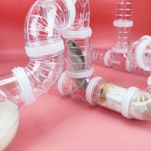 Diy hamster cage tunnel - hamster,