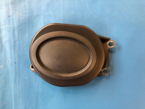 Rover left side fog - 25/mg,