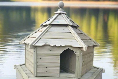 Medium hexagonal floating - floating, duck