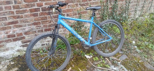 Apollo phaze medium frame - phaze,