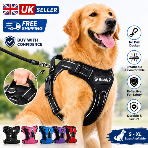 Personalized dog harness - dog, no