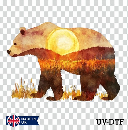 Exposure bear dtf sticker - exposure, uv