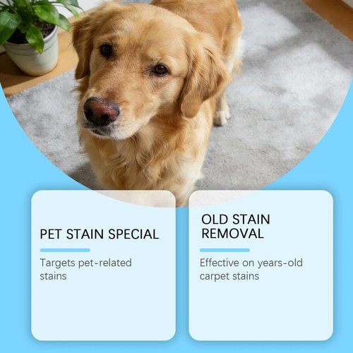 Carpet shampoo cleaner pet - shampoo,