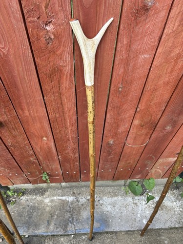 Vintage genuine deer antler - genuine,