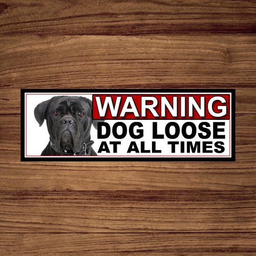 Cane corso warning - warning, dog