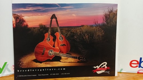 Breedlove custom acoustic - ,