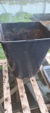 5 Litre square plastic plant pots used loads available