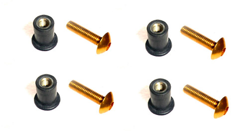 Gold license plate screw - license,
