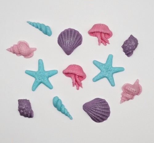 Edible beach sea shell - 12,
