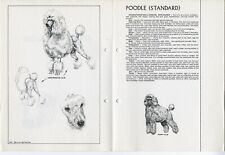 STANDARD POODLE 1978 BREED