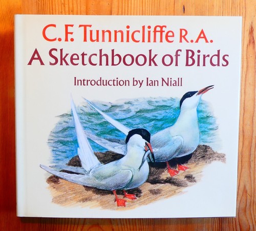 Tunnicliffe a sketchbook - c,