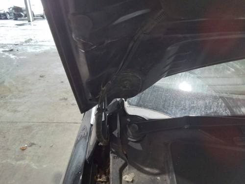 Bonnet hinge ford focus mk3 - hinge,