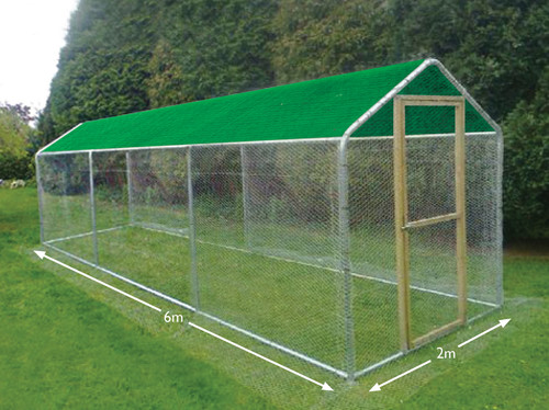 Walk chicken run steel - chicken,