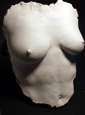 Lifesize Plaster lifecast of