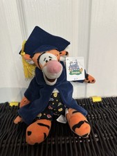 Disney Grad Nite Graduation