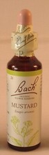 Bach Flower Remedies, Mustard