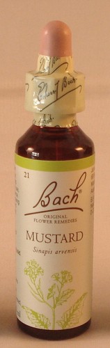 Bach flower remedies mustard - bach,