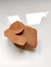 Desert rose selenite crystal - rose,