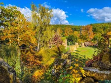 Wall Art "Elephant garden" Prague Czech Republic A3 Print