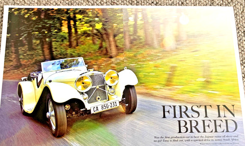 Jaguar 100 collectible - -,