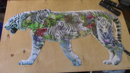 Rare white beauty tiger - rare,