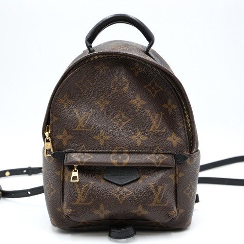 Louis vuitton palm springs - louis,