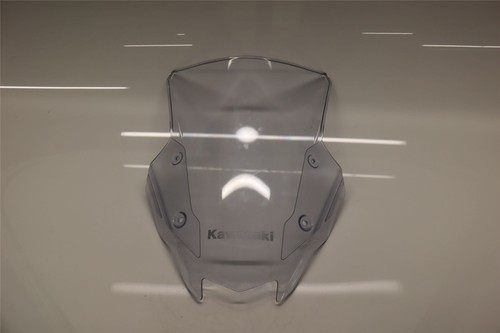 2023 kawasaki ninja zx10r - ninja,