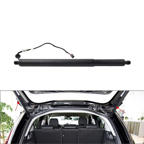 Electric tailgate lift support - lift,