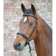 Star Bitless Bridle - Scawbrig