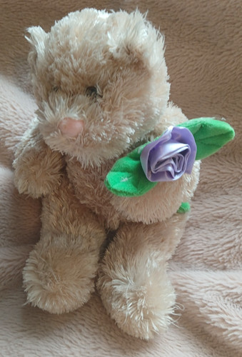 Vintage tesco teddy - vintage,