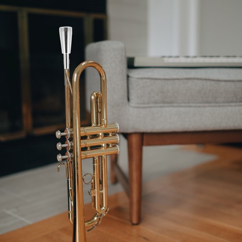 Trumpet accessories instrument - accessories,