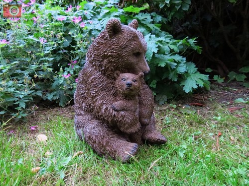 Brown bear mother - mother, &