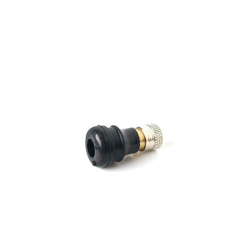 Vacuum tubeless air valve for - vacuum,