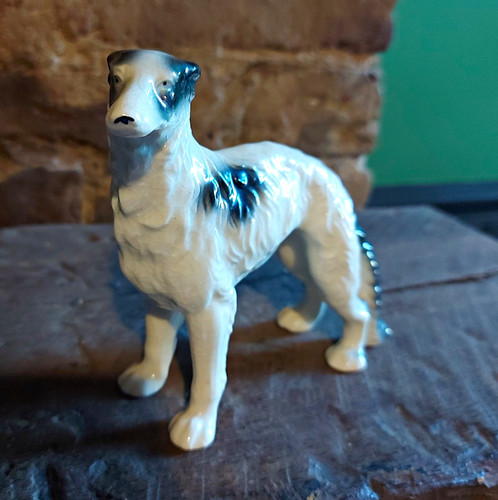 Borzoi russian wolfhound dog - borzoi/russian,