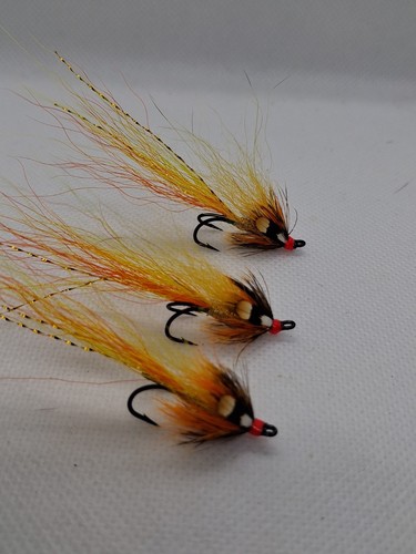 Cascade sunburst salmon - 3,